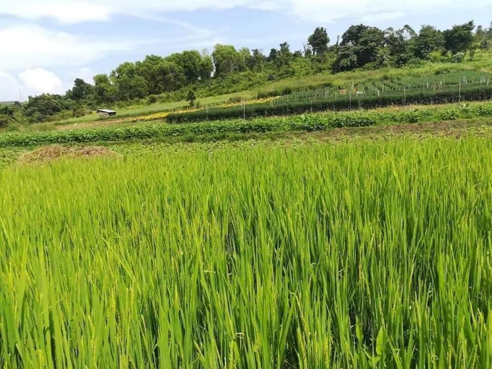 Hotel Shwe Nann Htike Pyin Oo Lwin Eksteriør billede