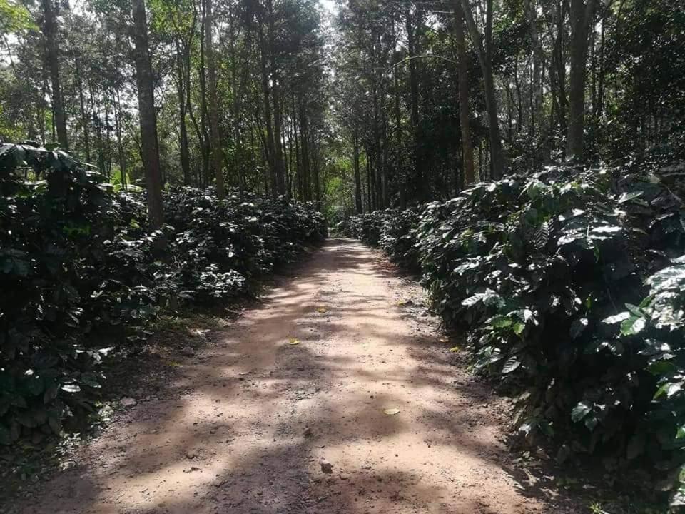 Hotel Shwe Nann Htike Pyin Oo Lwin Eksteriør billede