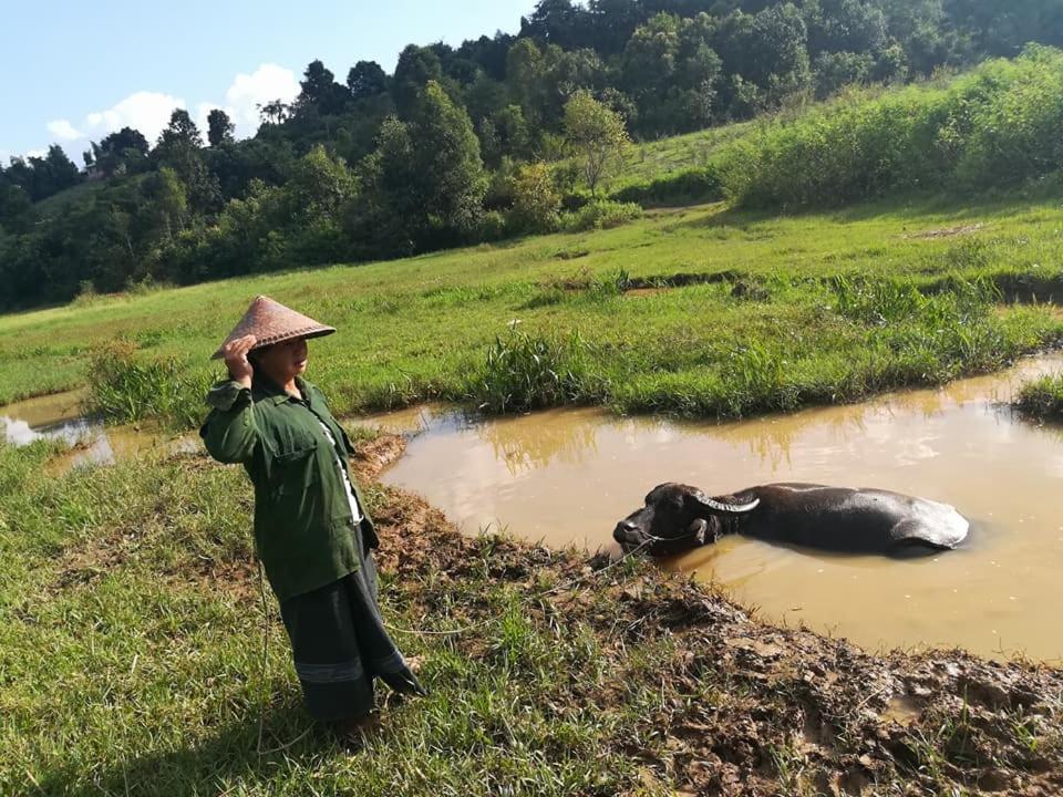 Hotel Shwe Nann Htike Pyin Oo Lwin Eksteriør billede