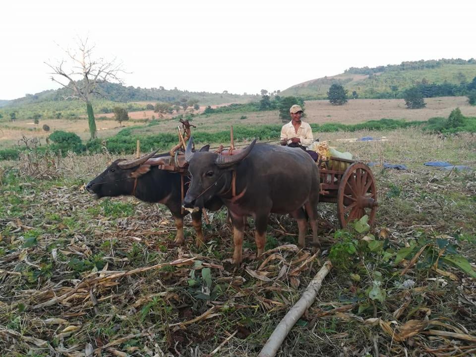 Hotel Shwe Nann Htike Pyin Oo Lwin Eksteriør billede